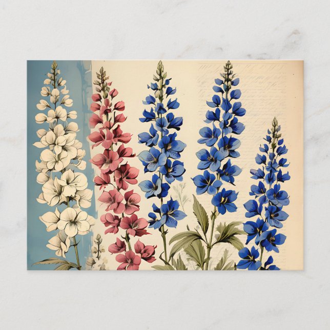 Rustic Delphinium Botanical Vykort (Framsida)