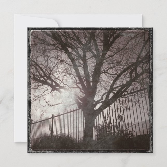 Rustic Distress Träd Silhouette Grunge (Framsida)