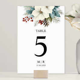 Rustic Dusty Blue Blommigt Winter Wedding Bordsnummer