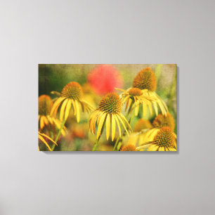 Rustic Echinacea Flowers Canvastryck