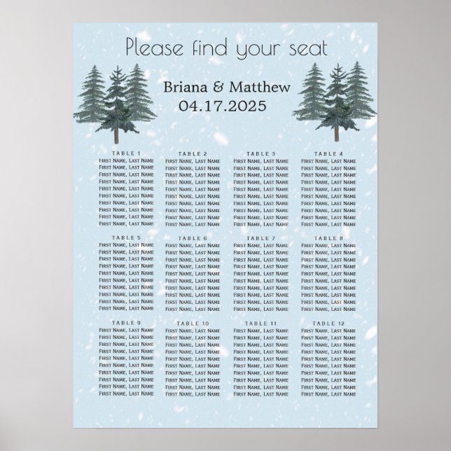 Rustic Evergreen Winter Gräs Bröllop Seatschdiagra Poster (Framsidan)