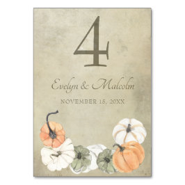 Rustic Fall Autumn White, Orange Pumpkins Bröllop Bordsnummer