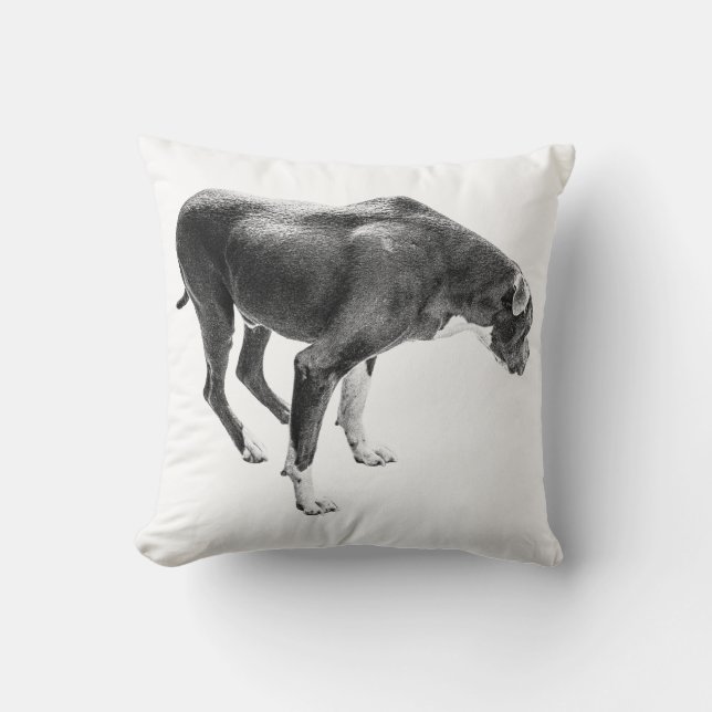 Rustic Fall Protection Kudde (Framsida)