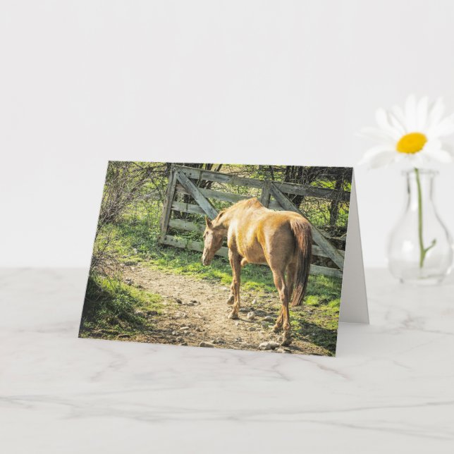 Rustic Farm Horse Kort (Liten växt)