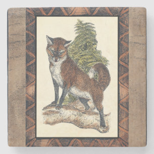 Rustic Fox Steg på en Träd-trunk Underlägg Sten