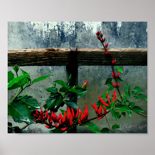 Rustic Garden Blommigt Poster (Framsidan)