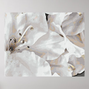 *~* Rustic Grunge Azalea Flowers White Neutralt Poster