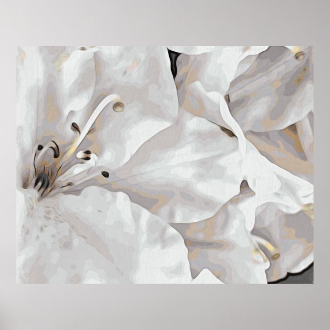 *~* Rustic Grunge Azalea Flowers White Neutralt Poster (Framsidan)
