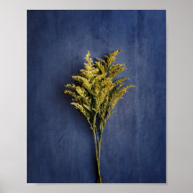 Rustic Gult Goldenrod Botanical Photo