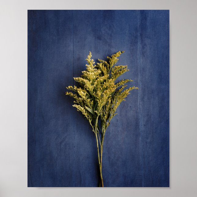 Rustic Gult Goldenrod Botanical Photo Poster (Framsidan)
