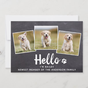 Rustic Hej Photo Collage Puppy Hund New Pet Meddelande