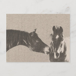 Rustic Horse Head Vykort