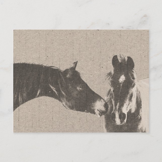 Rustic Horse Head Vykort (Framsida)