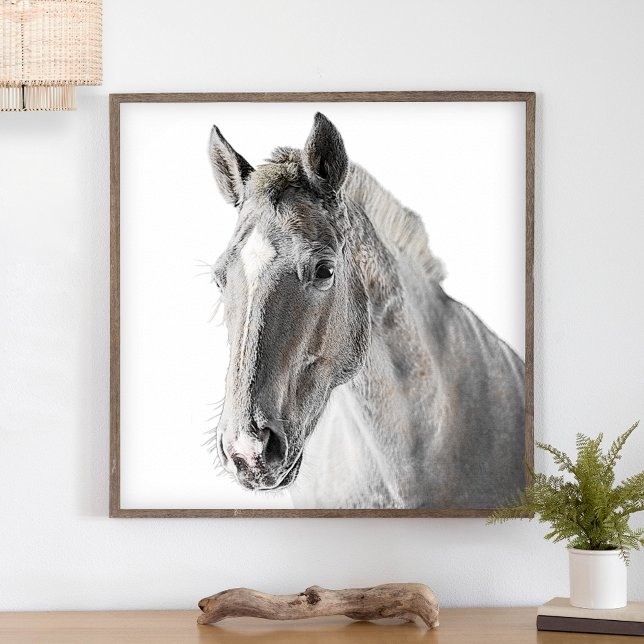 Rustic Horse Minimalist Modern Land Farmhouse Poster (Skapare uppladdad)