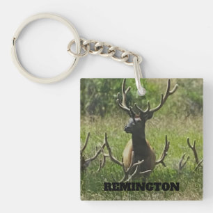 Rustic Hunting Wildlife Elk Hjort