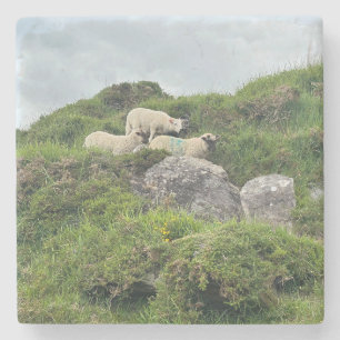 Rustic Ireland Three Irish Sheep Stenunderlägg