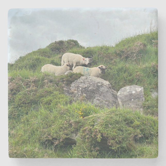 Rustic Ireland Three Irish Sheep Stenunderlägg (Framsidan)
