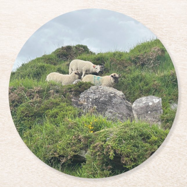 Rustic Ireland Three Irish Sheep Underlägg Papper Rund (Framsidan)