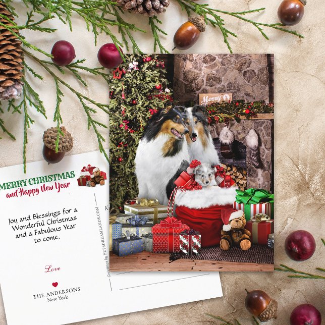 Rustic jul Kväll, Rough Collie Hundar - Helgdag Vykort (Skapare uppladdad)