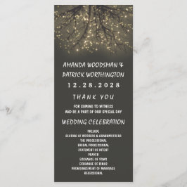 Rustic Lighted Träd Gren Bröllopsprogram Program