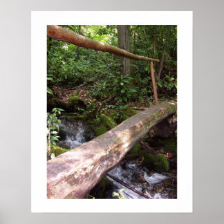 Rustic Log Bridge Poster