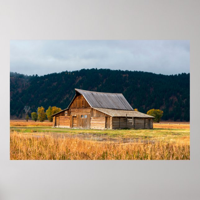 Rustic log Ladin i Grand Teton National Park i Wyo Poster (Framsidan)