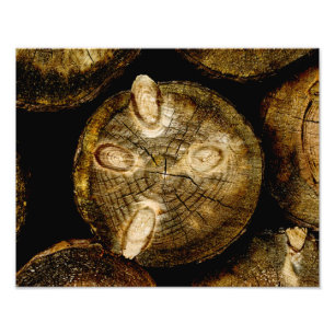 Rustic Log Roll Fototryck