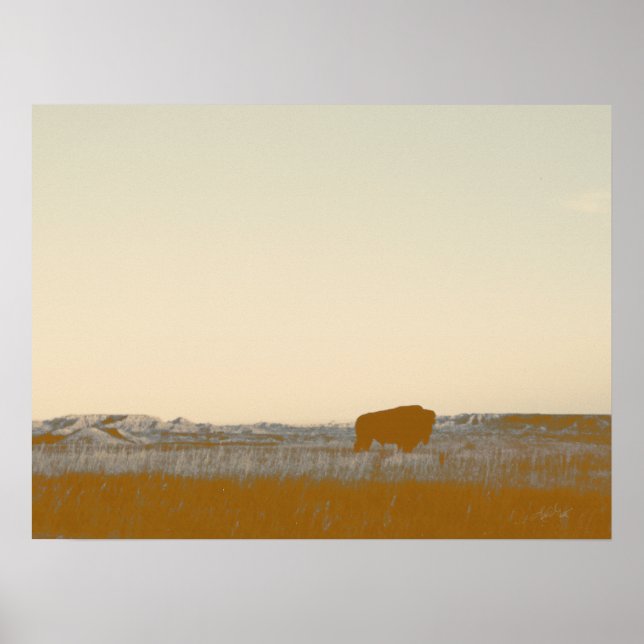 Rustic Lone Buffalo Photo från Badlands Poster (Framsidan)