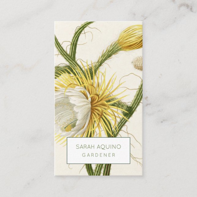 Rustic Moonlight Cactus Visitkort (Framsida)