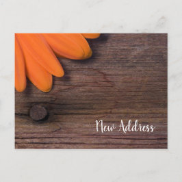 Rustic Orange Daisy och Barn Wood Ny adress Meddelande Vykort