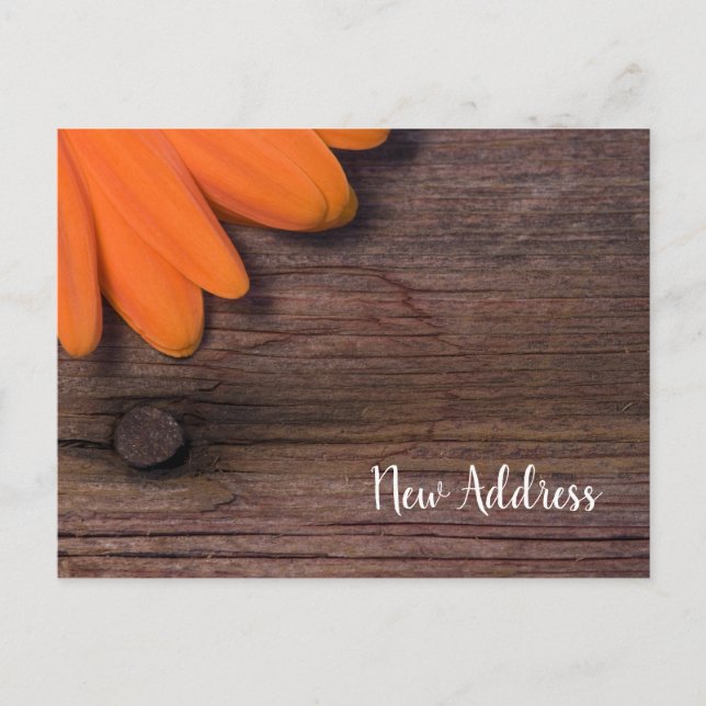 Rustic Orange Daisy och Barn Wood Ny adress Meddelande Vykort (Framsida)