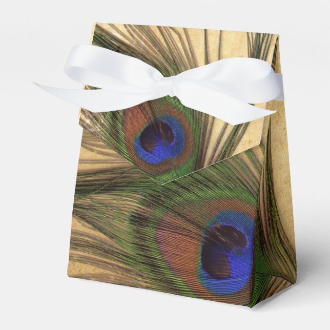 Rustic Peacock Feather bröllopsbox Presentaskar (Framsidan Sidan)