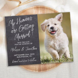 Rustic Pet Bröllop Anpassningsbar Photo Hund Spara Meddelande Vykort