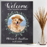 Rustic Pet Bröllop Välkommen Personlig Hund Foto Poster<br><div class="desc">Välkommen ~ till mina föräldrar Bröllop! Inkludera din bästa hund, bästa katt och vilket sällskapsdjur som helst i bröllop med sitt eget välkomsttecken för bröllop för dina gäster. Perfekt för hundälskare gör perfekt bröllop hund-tecken. Rustik kalkskiffer med eukalyptus löv i ren elegant. Anpassa den här bröllop-sällskapsskylten med ditt favoritfoto för...</div>