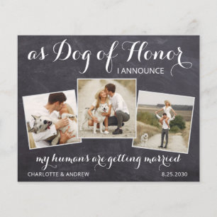 Rustic Pet Hund Photo Budget Bröllop spara datum