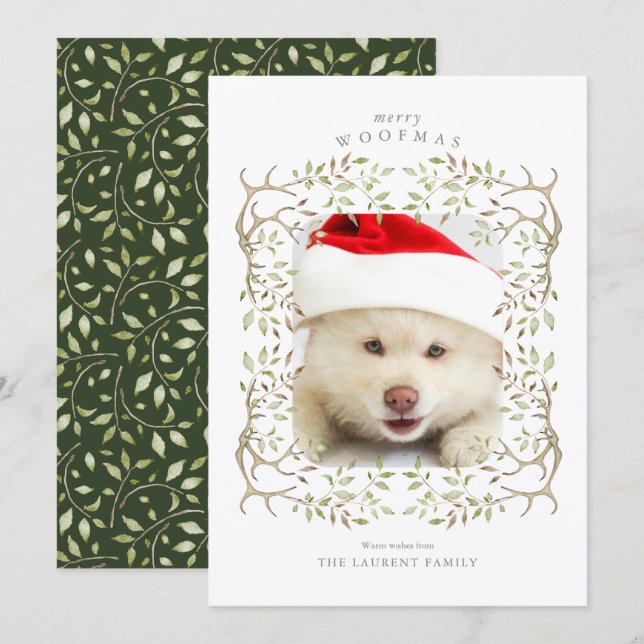 Rustic Pet Woodland Antler WAN Photo Julkort (Fram/baksida)