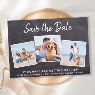 Rustic Photo Collage Pet Bröllop Hund Spara Datumet