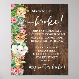 Rustic Pink Safari My Water Broke Shower Game Poster