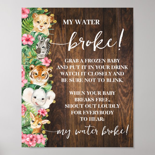 Rustic Pink Safari My Water Broke Shower Game Poster (Framsidan)