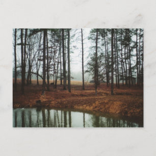 Rustic Pond Vykort