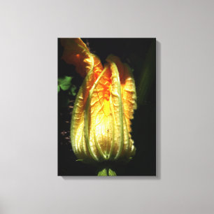 Rustic, Pumpkin Blommar Wrapped Canvas
