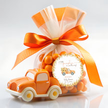 Rustic Pumpkin Fall Blommigt Baby Shower