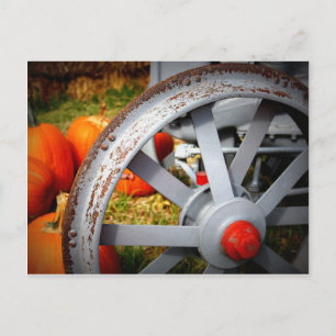 Rustic Pumpkins Vykort