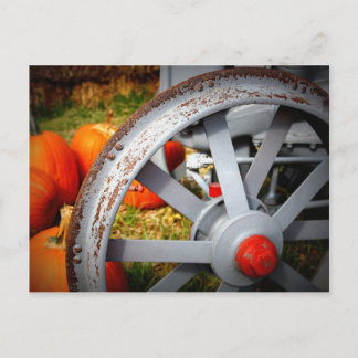 Rustic Pumpkins Vykort