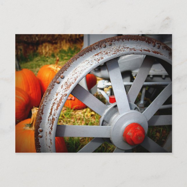 Rustic Pumpkins Vykort (Framsida)