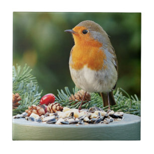 Rustic-Red Robin, Songbird Kakelplatta