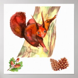 Rustic Red Squirrel i Gräs Cones Poster