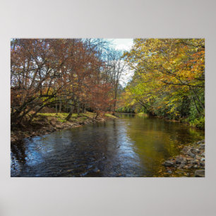 Rustic River Stream Höst löv Natur Fotography Poster