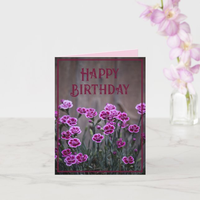 Rustic Rosa Dianthus Flowers Birthday Kort (Orkide)