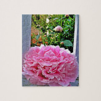Rustic Rosa Peony Garden Pickets Pussel